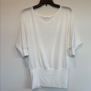 Luxe  Cream V-Neck Blouse